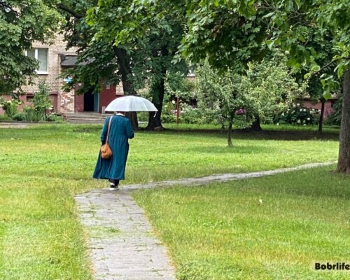 Дождь и порывистый ветер. Что еще прогнозируют синоптики 24 июля в Бобруйске