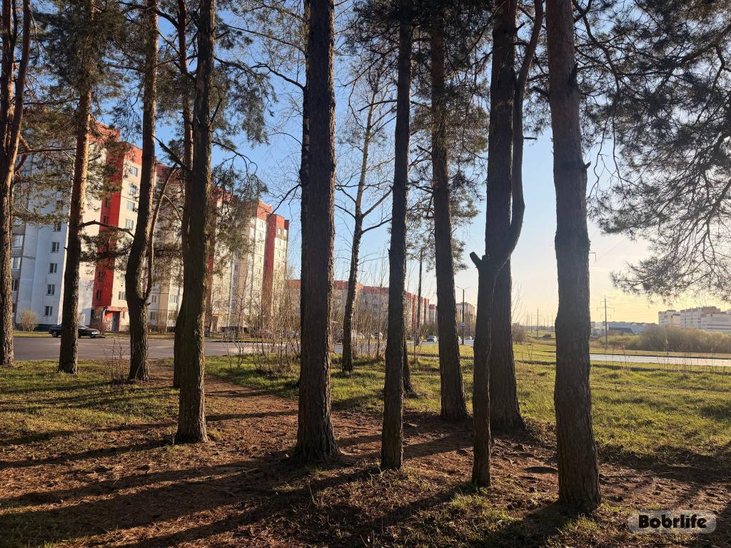 Прогноз погоды. Могилевская область