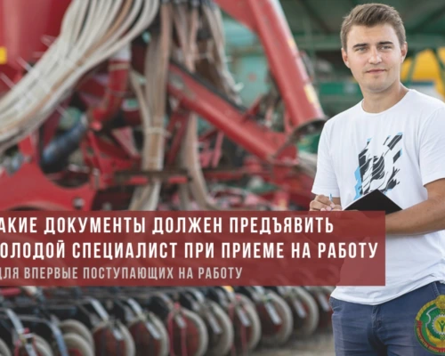 Приступаем к работе: какие документы должен предъявить молодой специалист