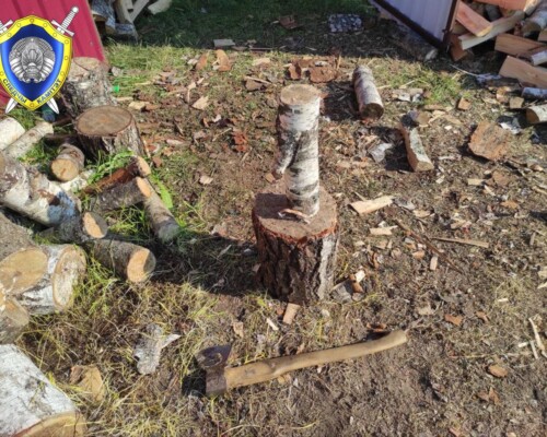 В Чериковском районе 13-летняя девочка лишилась пальцев во время помощи отцу