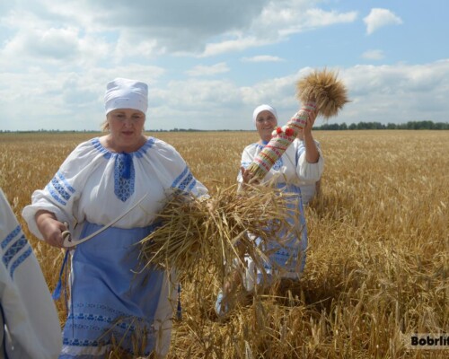 Народные приметы на 29 июля. Что можно и нельзя делать в этот день