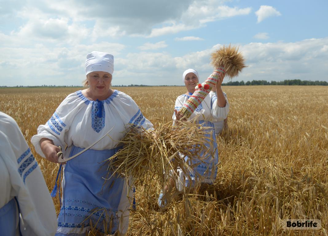 Народные приметы на 29 июля. Что можно и нельзя делать в этот день