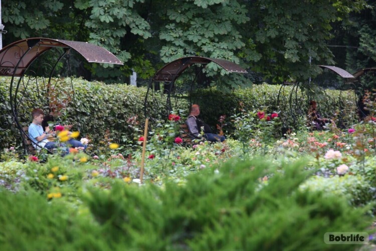 До +30°C, дожди и грозы: каким будет последний летний уикенд в Беларуси