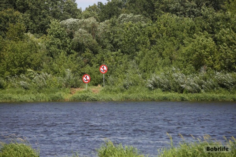 Жертва воды. В Бобруйске в Березине нашли тело женщины