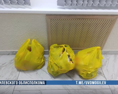 «Бесплатный» шопинг: мужчина за день обокрал восемь магазинов в Бобруйске