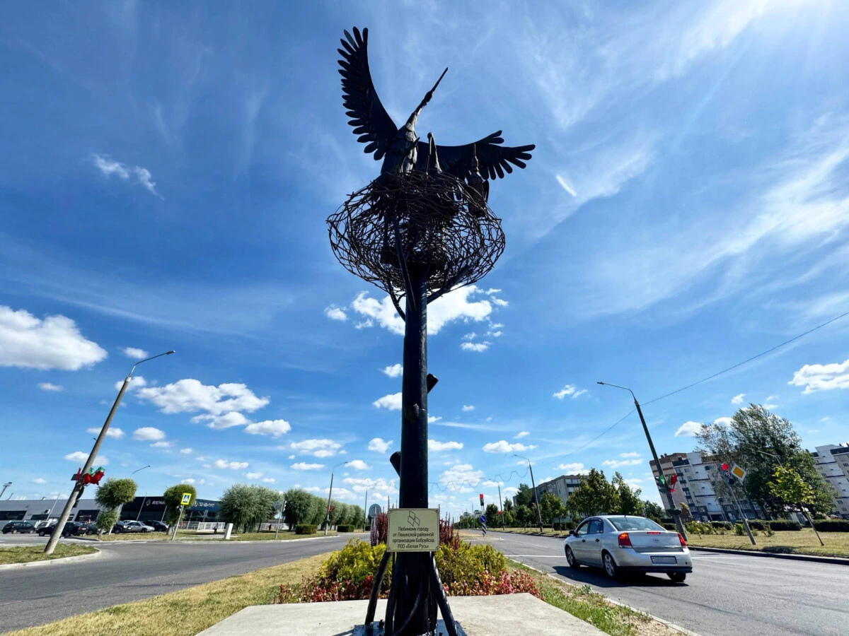 Новая «семьЯ» под небом Бобруйска. На главном перекрестке города поселилось пернатое счастье