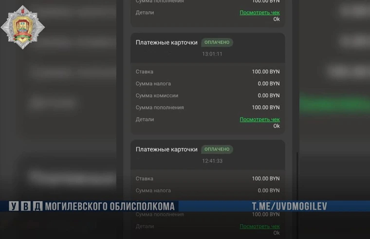По-соседски. Игроманка из Бобруйска обокрала пенсионерку