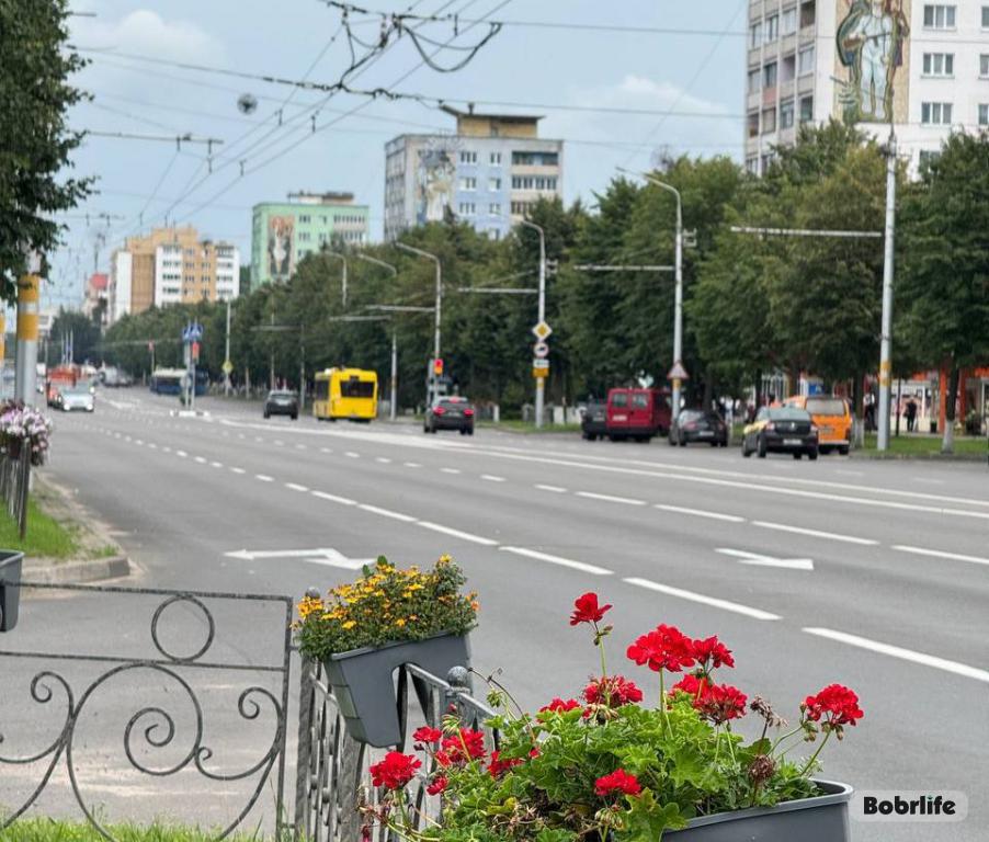 Прогноз погоды. Могилевская область