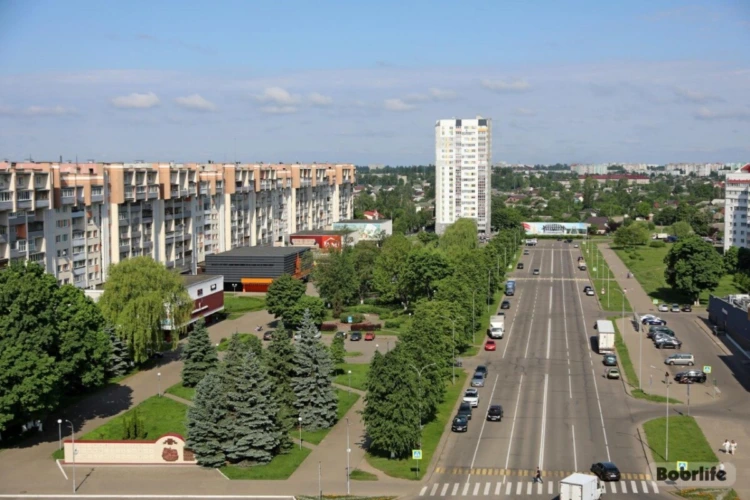 12 августа в Бобруйске состоятся общественные обсуждения по вопросам планируемого удаления объектов растительного мира. Жителей города приглашают на слушания
