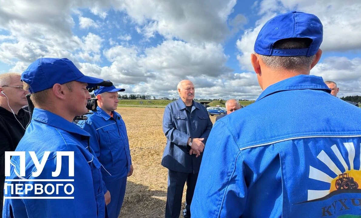 Поблагодарить передовиков жатвы за высокие показатели: Александр Лукашенко приехал на поле в Минском районе