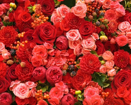 Уважаемые работники органов государственной статистики, ветераны службы!
