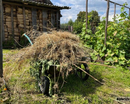 Народные приметы на 26 августа. Что можно и нельзя делать в этот день