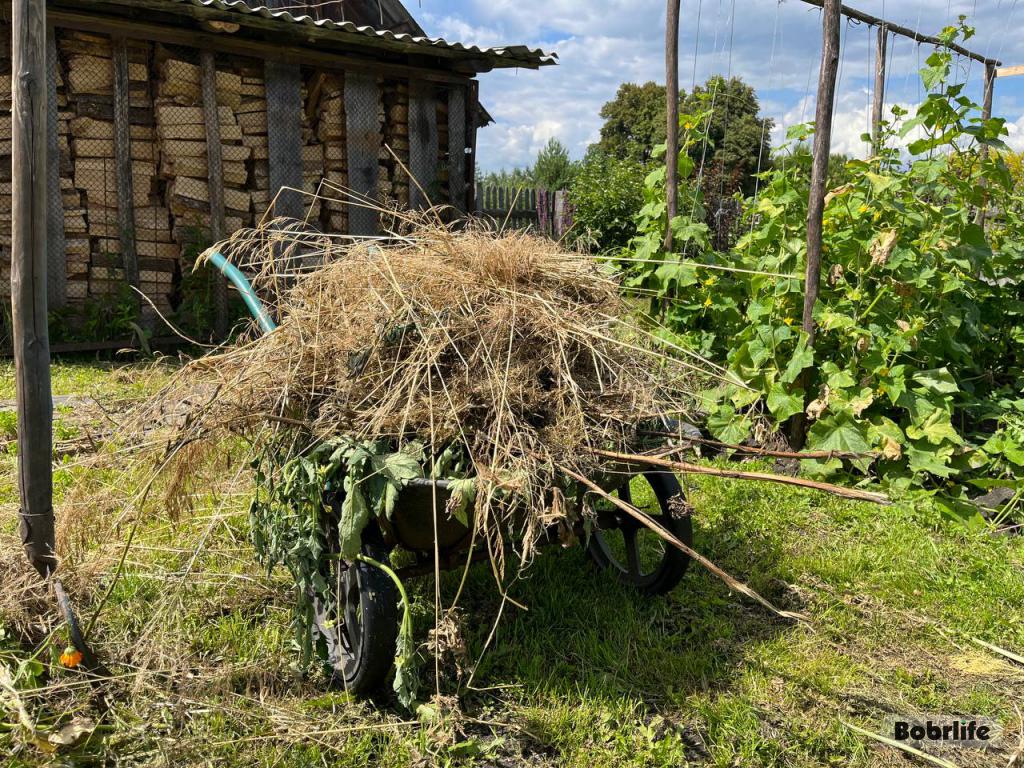 Народные приметы на 26 августа. Что можно и нельзя делать в этот день