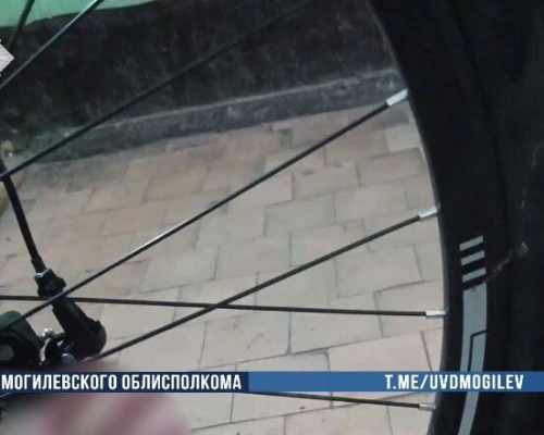 Будьте бдительны! Несовершеннолетнего вора задержали в Бобруйске