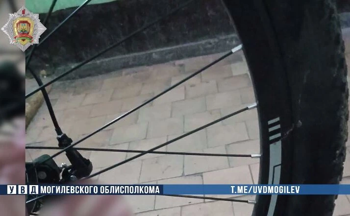 Будьте бдительны! Несовершеннолетнего вора задержали в Бобруйске