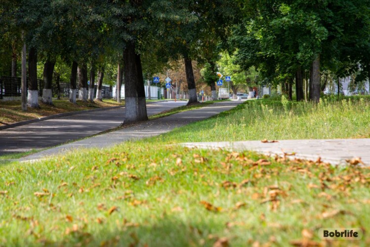 Прогноз погоды на неделю. Могилевская область
