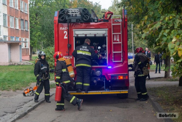 Информация от МЧС. Оперативная обстановка за прошедшие сутки в Могилевской области