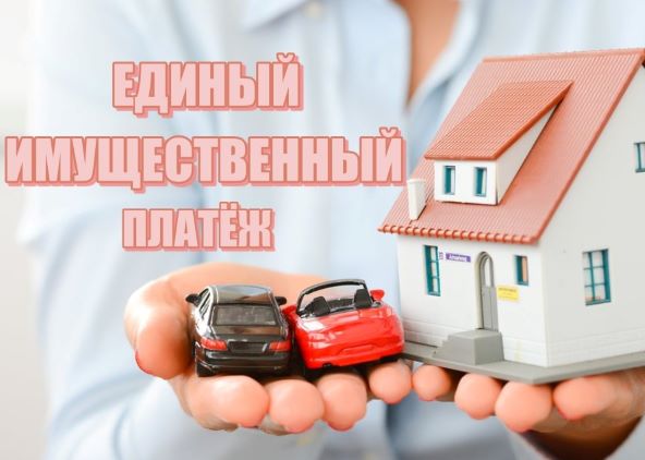 МНС информирует: 16 ноября — срок уплаты имущественных налогов физическими лицами