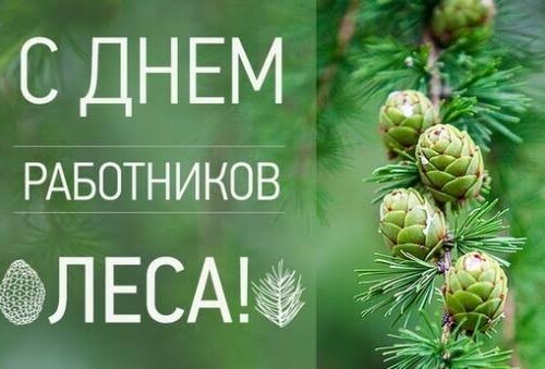 Уважаемые работники лесной отрасли! Дорогие ветераны!