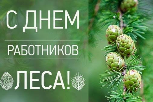 Уважаемые работники лесной отрасли! Дорогие ветераны!