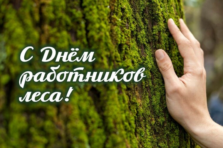 Уважаемые работники и ветераны лесной промышленности Бобруйска!