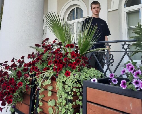 Целый город у вас в квартире. Бобруйчанин рассказал особенности ухода за формикарием