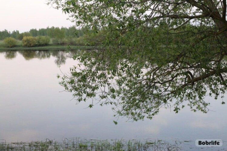 Прогноз погоды на неделю. Могилевская область