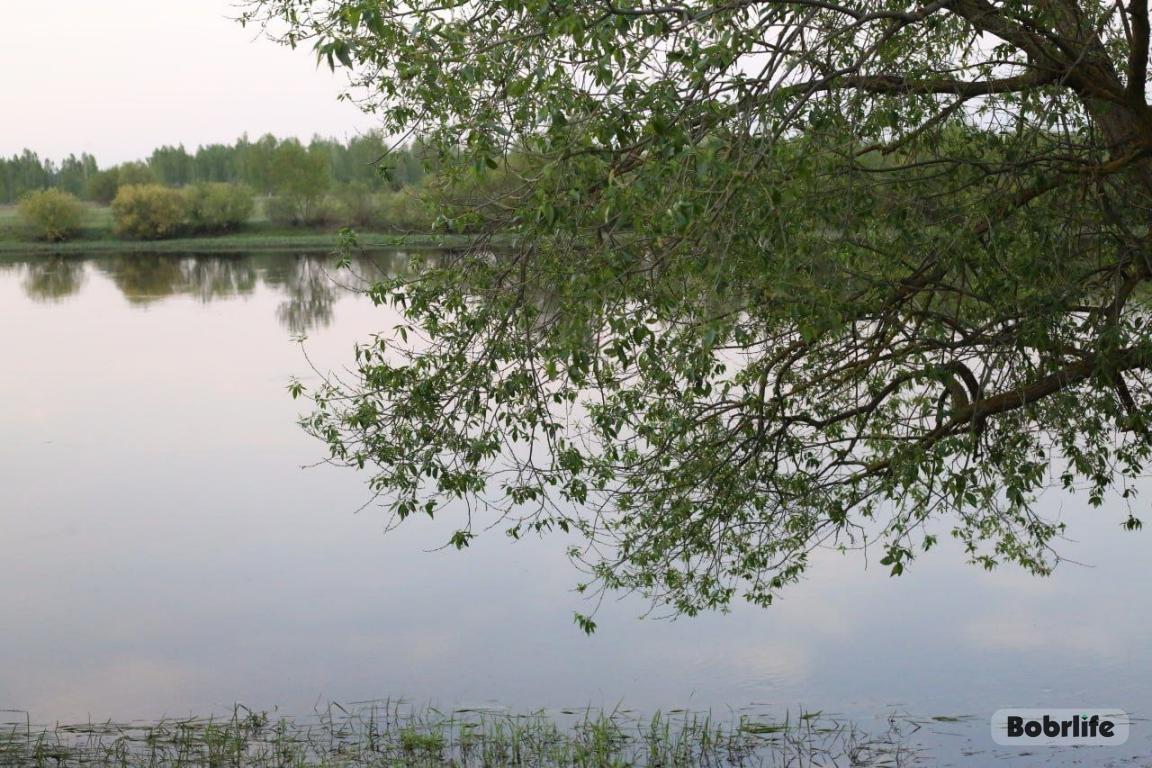 Прогноз погоды на неделю. Могилевская область