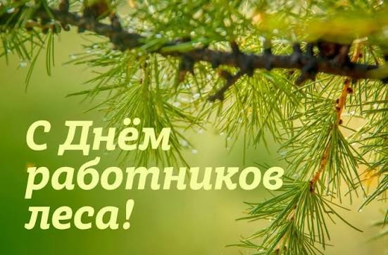 Уважаемые работники и ветераны лесного хозяйства! Поздравление с Днем работников леса