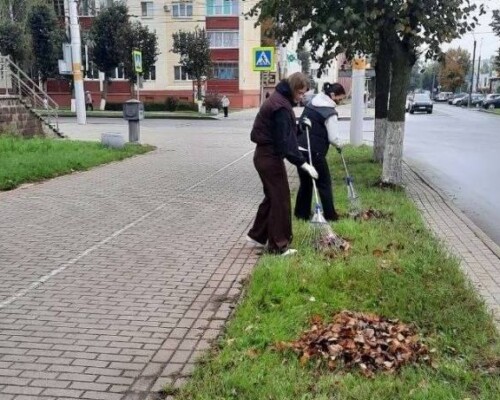 Общая забота: трудовые коллективы Бобруйска вышли на большую уборку города
