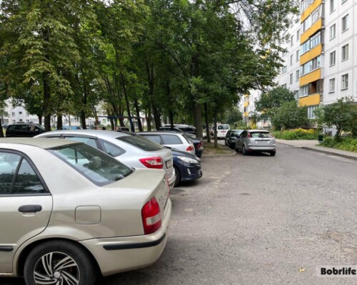 Газоны – не для машин. Как бороться с автохамством, рассказали в УВД Бобруйского горисполкома