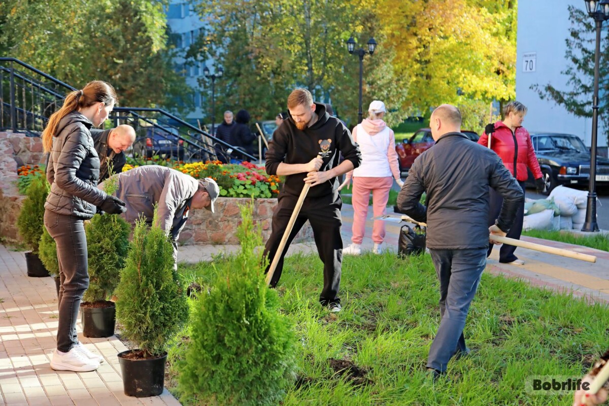 Зеленый подарок городу: работники ЖРЭУ Первомайского района украсили Бобруйск декоративными растениями