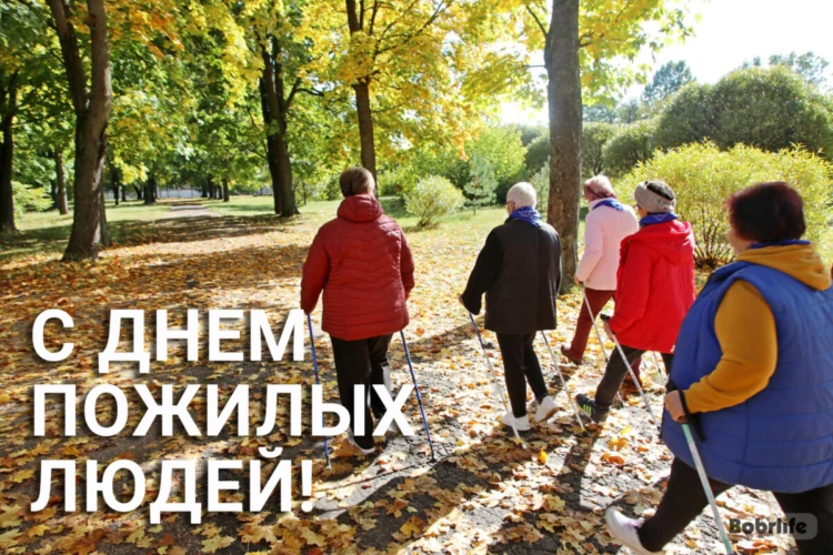 Дорогие земляки!