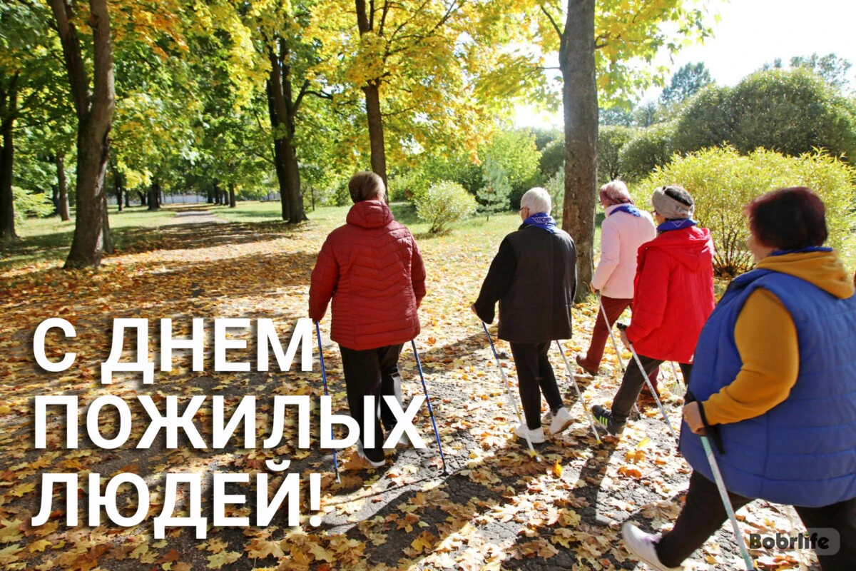 Дорогие земляки!