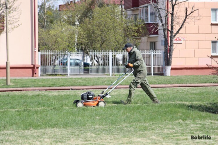 Наведите порядок у своего дома! Бобруйский зональный центр гигиены и эпидемиологии напоминает о правилах благоустройства