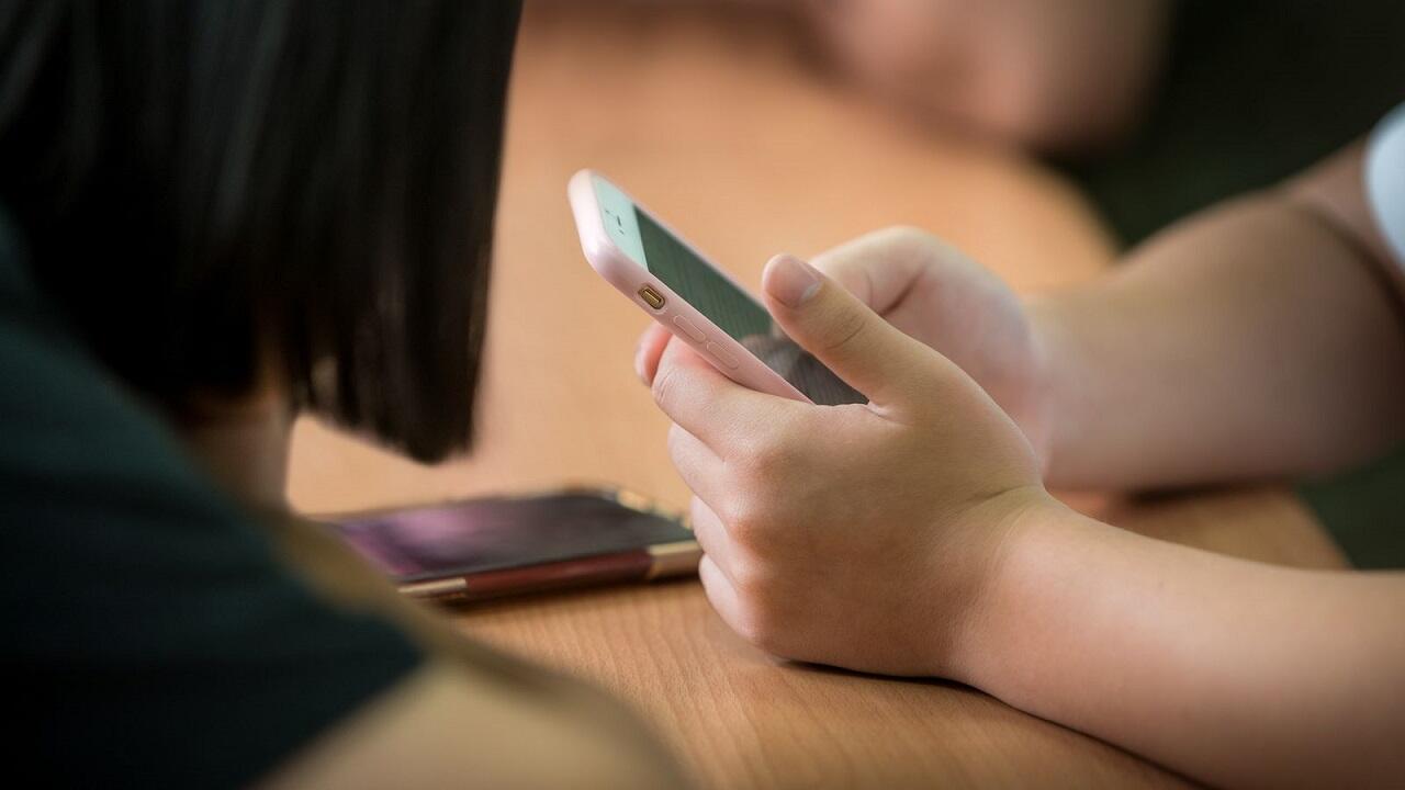 Новая схема обмана: выманивание данных школьников через фейковые сайты