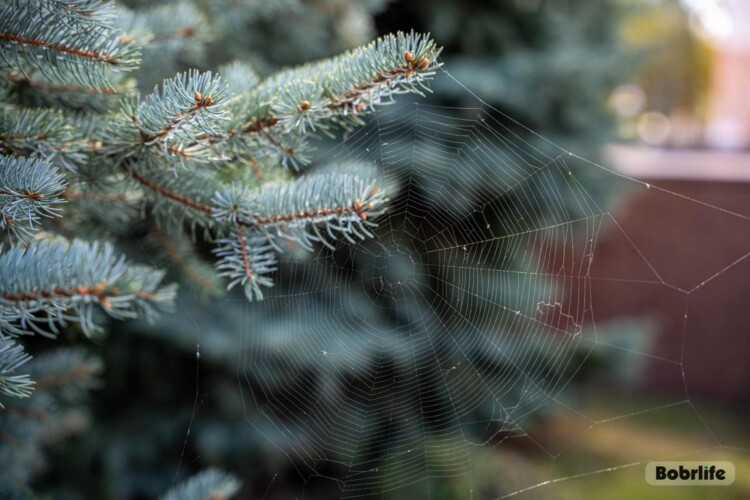 Народные приметы на 3 октября. Что можно и нельзя делать в этот день