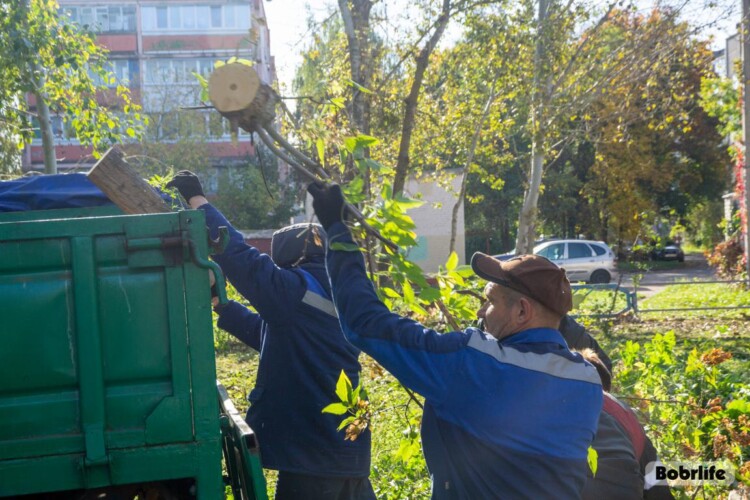Осень в чистоте. Бобруйчане активно убирают любимый город