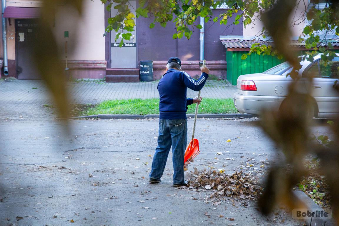 Чистый Бобруйск начинается с нас: Ленинский район присоединился к городскому субботнику
